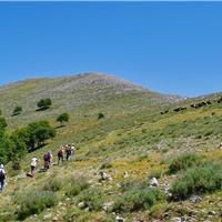 G03 - Da Tozzo del Moio a Scario