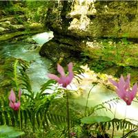 23C - Riserva Naturale Orientata dell'Orfento