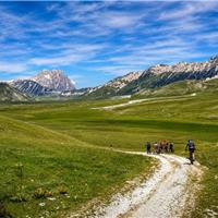 26M - Anello Campo Imperatore