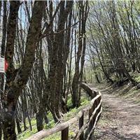 S04 - Monte Cervati