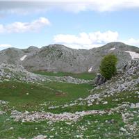 E02 - Monte Cervati 