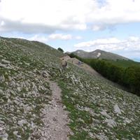 E02 - Monte Cervati 