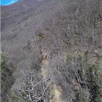 E03 - Monte Cervati