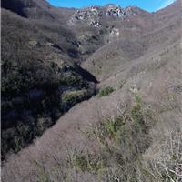 E03 - Monte Cervati